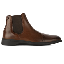 Chestnut & Mocha