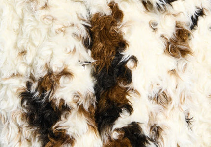 AZALEA WANG ENORA WOMEN COATS - Cream Multi