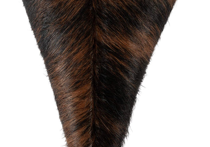 JEFFREY CAMPBELL PROPOSAL-F WOMENS BOOTS - Black Brown Combo