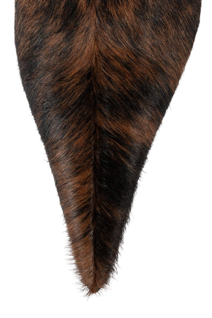 JEFFREY CAMPBELL PROPOSAL-F WOMENS BOOTS - Black Brown Combo