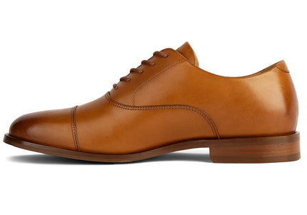 AMBERJACK THE REGENT  MEN SHOES - Honey