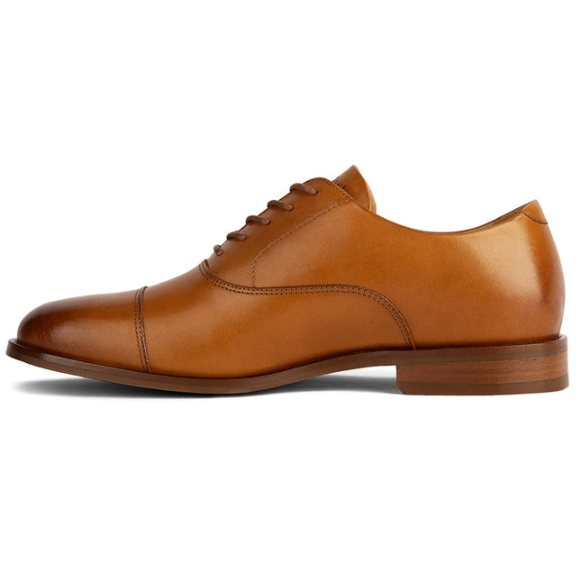 AMBERJACK THE REGENT  MEN SHOES - Honey