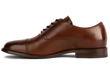 AMBERJACK THE REGENT  MEN SHOES - Chestnut