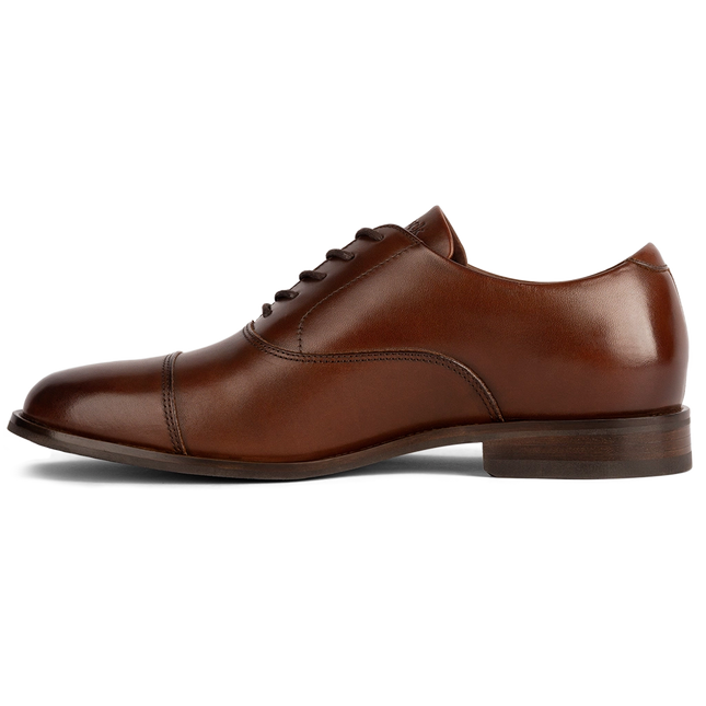 AMBERJACK THE REGENT  MEN SHOES - Chestnut