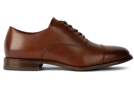 AMBERJACK THE REGENT  MEN SHOES - Chestnut