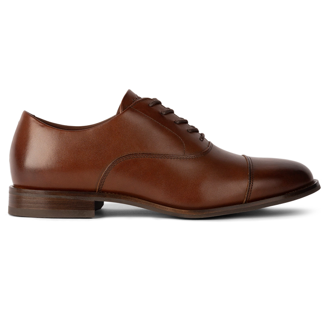 AMBERJACK THE REGENT  MEN SHOES - Chestnut