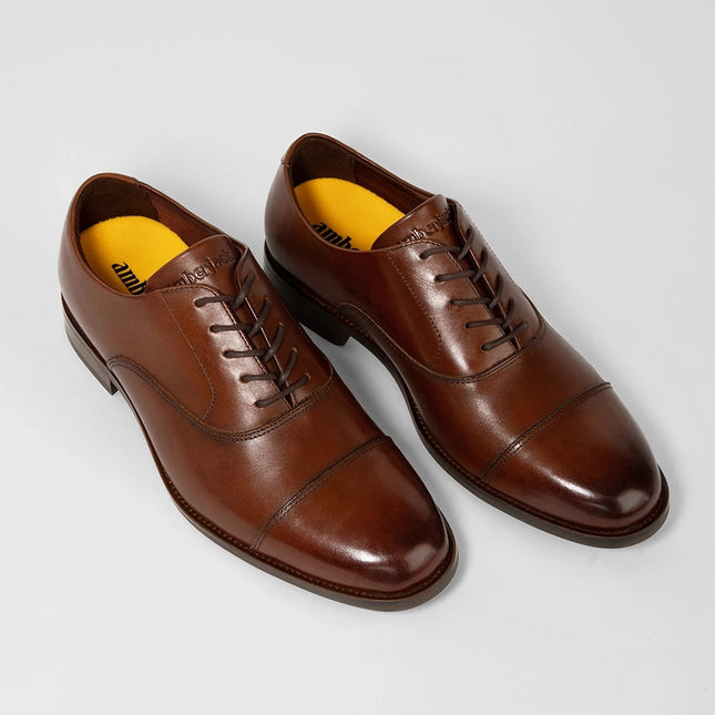 AMBERJACK THE REGENT  MEN SHOES - Chestnut