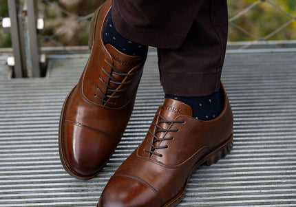 AMBERJACK THE REGENT  MEN SHOES - Chestnut