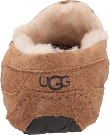 UGG MEN ASCOT MEDIUM