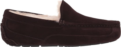 UGG MEN ASCOT MEDIUM