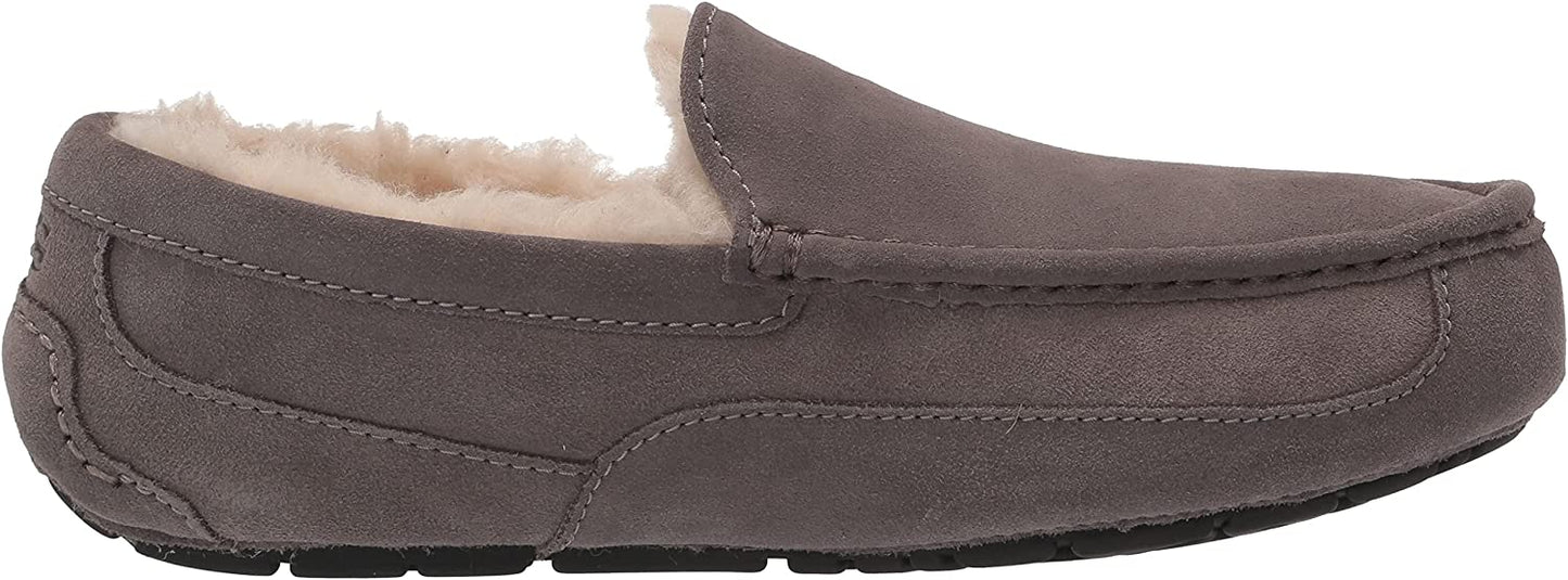 UGG MEN ASCOT MEDIUM