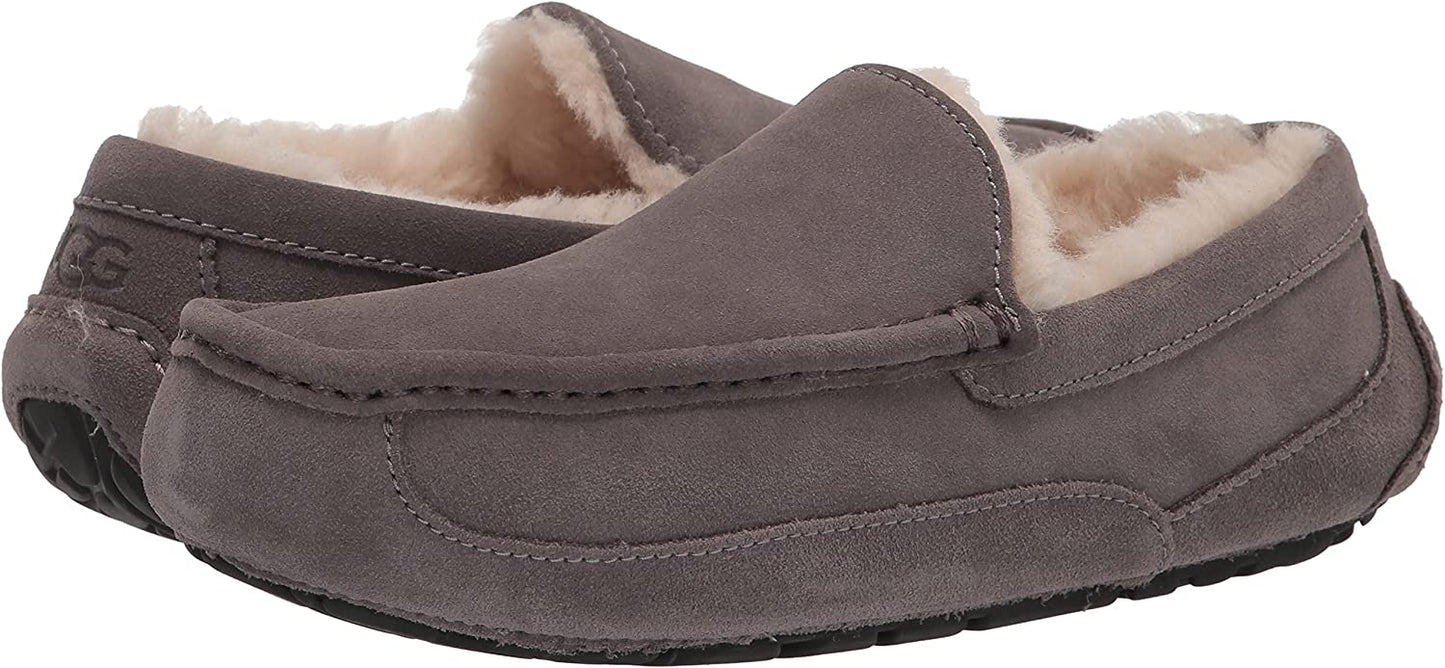 UGG MEN ASCOT MEDIUM