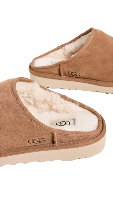 UGG CLASSIC MEN SLIPPER - Chestnut