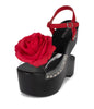Clear Red Black
