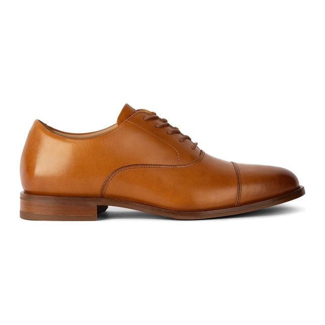 AMBERJACK THE REGENT  MEN SHOES - Honey