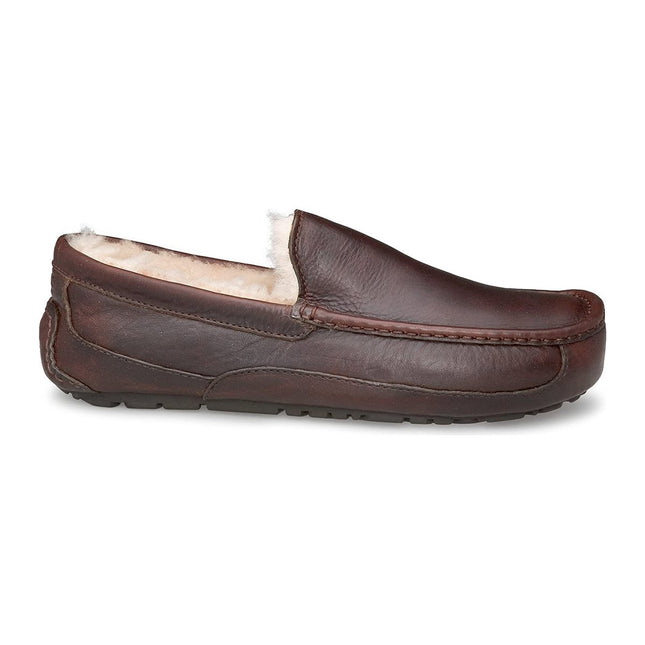 UGG ASCOT MEN SHOES