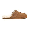 Chestnut